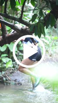 BIB:  <button type="button" onclick="openModal(27501861)" class="btn btn-primary btn-sm float-right" data-toggle="modal" data-target=".modal-high-quality">
                <i class="fa fa-download"></i> Download
                </button>